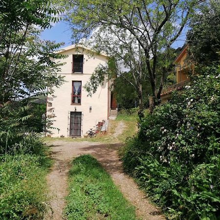 Ferula Romantica Mansarda Tra Fiumi E Montagne Sardegna Seùlo Zewnętrze zdjęcie