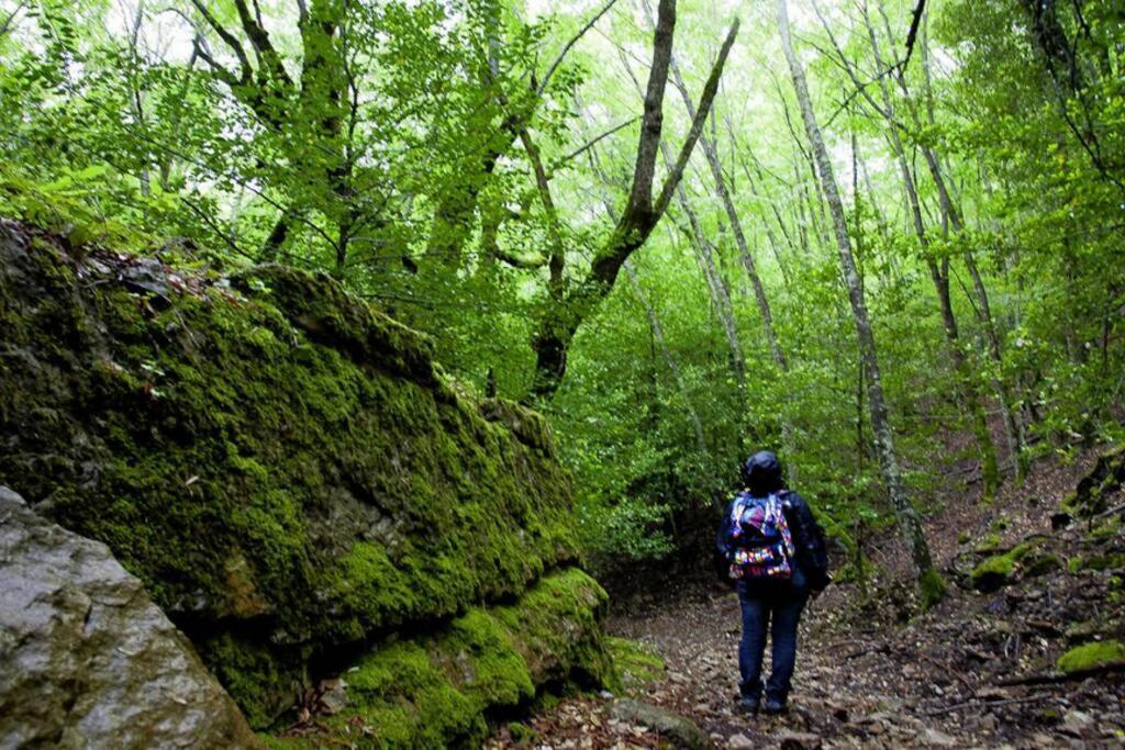 Ferula Romantica Mansarda Tra Fiumi E Montagne Sardegna Seùlo Zewnętrze zdjęcie