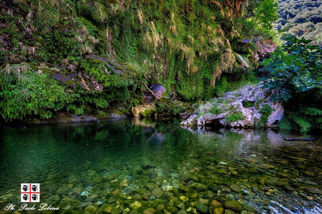 Ferula Romantica Mansarda Tra Fiumi E Montagne Sardegna Seùlo Zewnętrze zdjęcie