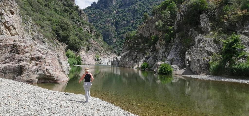 Ferula Romantica Mansarda Tra Fiumi E Montagne Sardegna Seùlo Zewnętrze zdjęcie